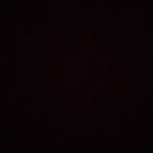 Meet your Posher, Jamarious